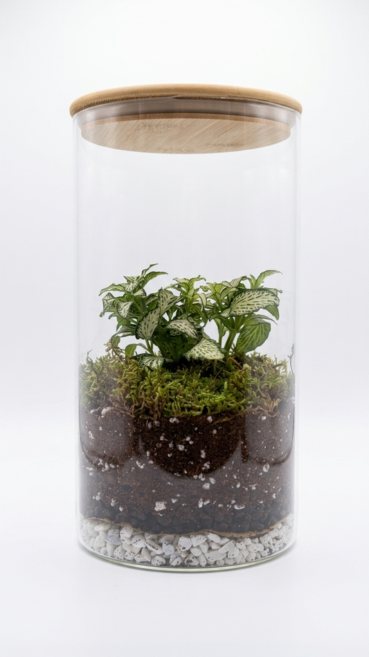 Terraglass